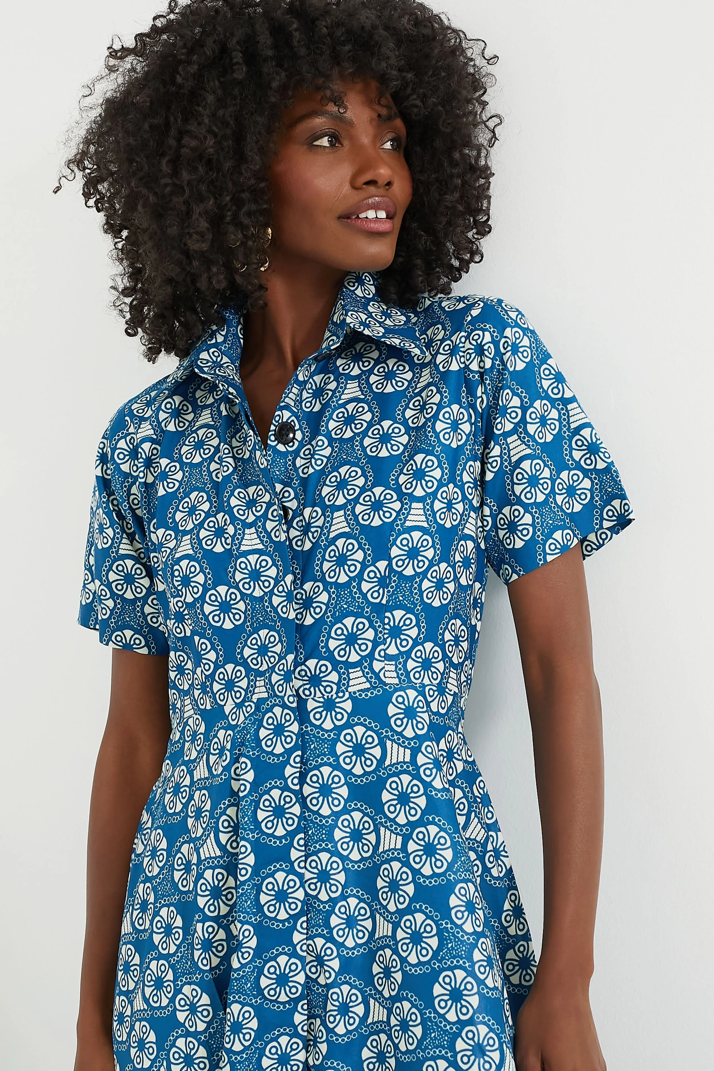 Blue Feyi Dress